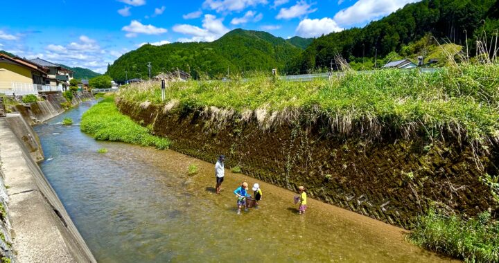 菅田川で魚とり　オオサンショウウオやゲンジボタルが生息する川