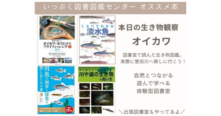 オススメ本4選　本日の生き物観察『オイカワ』