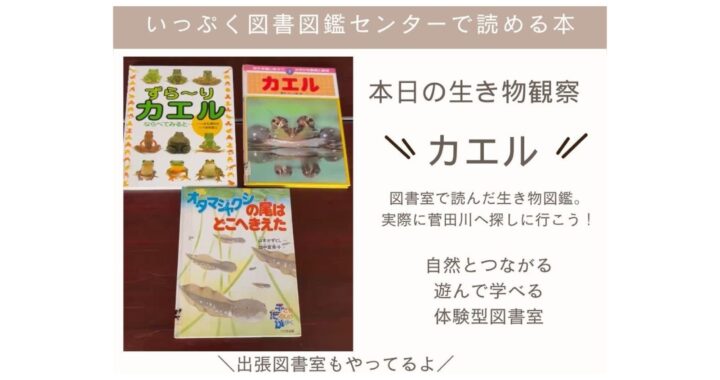 オススメ本２選　本日の生き物観察『カエル』