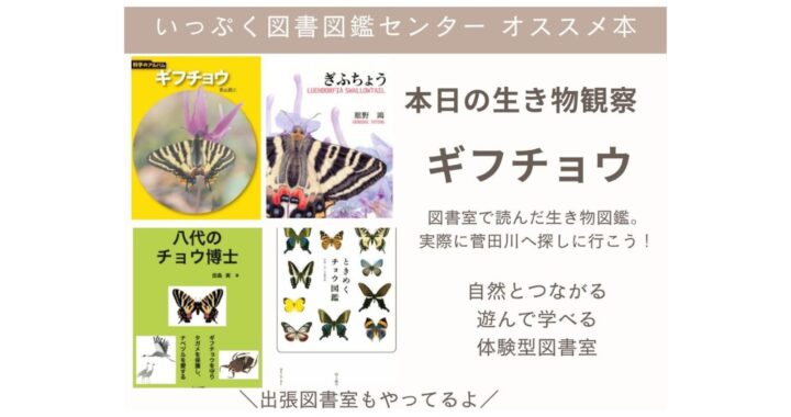 オススメ本4選　本日の生き物観察『ギフチョウ』