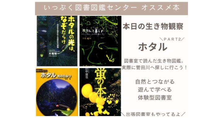 オススメ本4選　本日の生き物観察『ホタル』PART2
