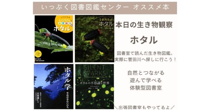 オススメ本4選　本日の生き物観察『ホタル』