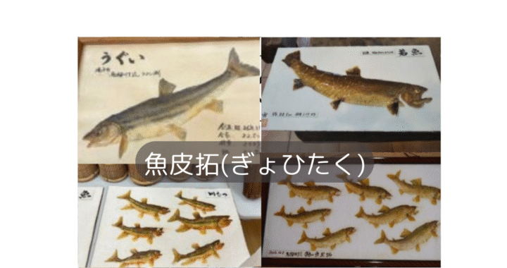 魚皮拓(ぎょひたく)・展示