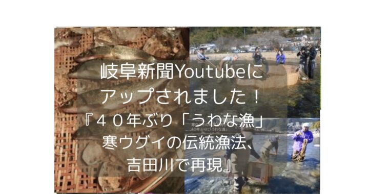 岐阜新聞YouTubeにアップされました！『４０年ぶり「うわな漁」　寒ウグイの伝統漁法、吉田川で再現　岐阜県郡上市八幡町』