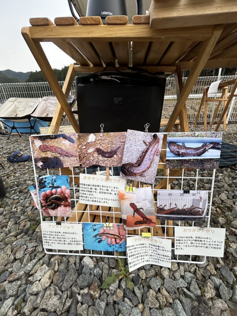 画像に alt 属性が指定されていません。ファイル名: 30AC6F2D-0CC6-44AD-BAE8-BE706A36CFFC-800x1067.jpg