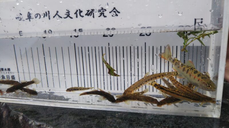 画像に alt 属性が指定されていません。ファイル名: 504049257_10012193215527085_5521406869414865601_n-1-800x450.jpg