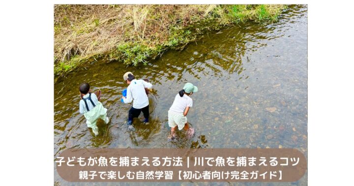 子どもが魚を捕まえる方法｜川で魚を捕まえるコツ　親子で楽しむ自然学習【初心者向け完全ガイド】