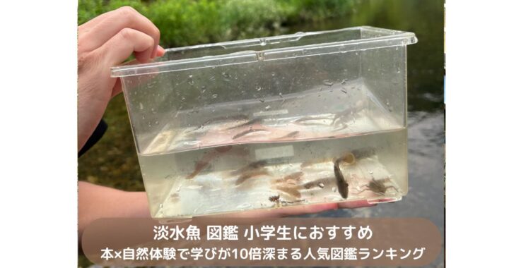 淡水魚 図鑑 小学生におすすめ｜本×自然体験で学びが10倍深まる人気図鑑ランキング