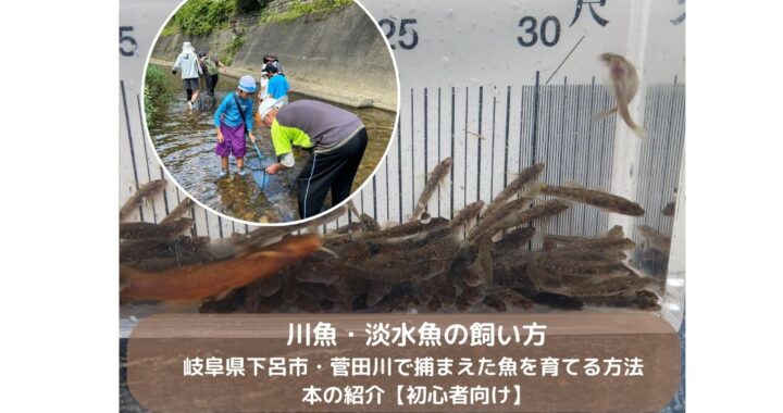 川魚・淡水魚の飼い方｜岐阜県下呂市・菅田川で捕まえた魚を育てる方法 本の紹介【初心者向け】
